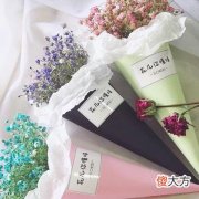梦见猫在河里游泳