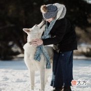 梦见下雨抓鱼是什么意思