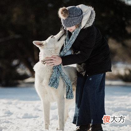 梦见下雨抓鱼是什么意思