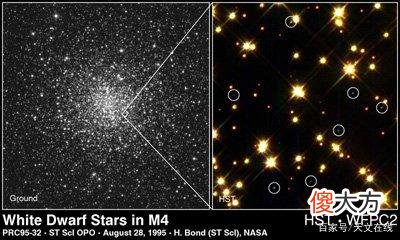 人类的身体，都是星星的尸体做的。为什么？
