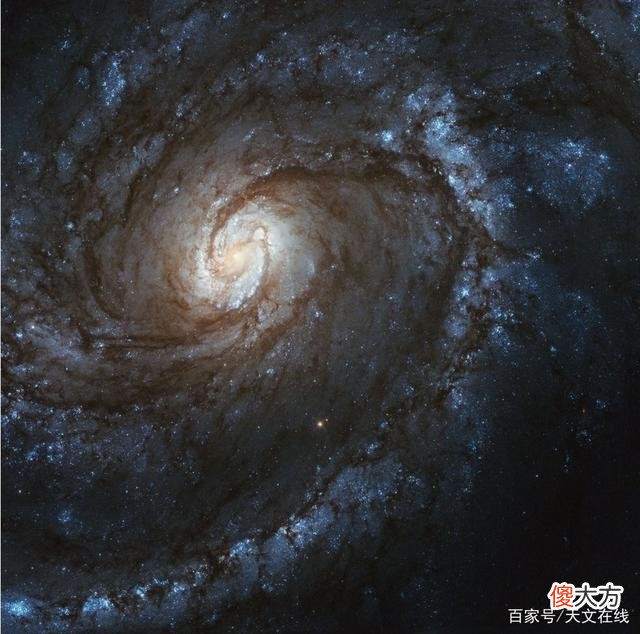 人类的身体，都是星星的尸体做的。为什么？