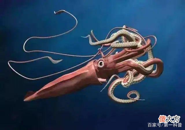 研究证实：人类活动致第六次物种大灭绝，人类会消失吗？提前了解