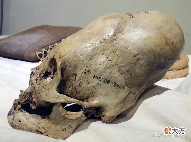 帕拉卡斯头骨来源成谜，基因检测，竟是外来物种？