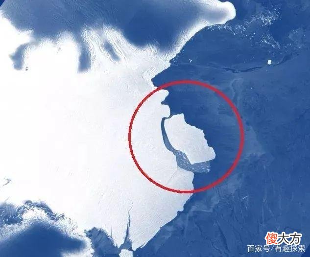 南极冰架崩塌后，如同打开与世隔绝的“外星世界”，发现各种生物