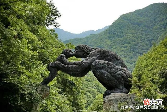 猎人近距离抓拍“大脚怪”？迄今为止，最清晰的野人目击事件！