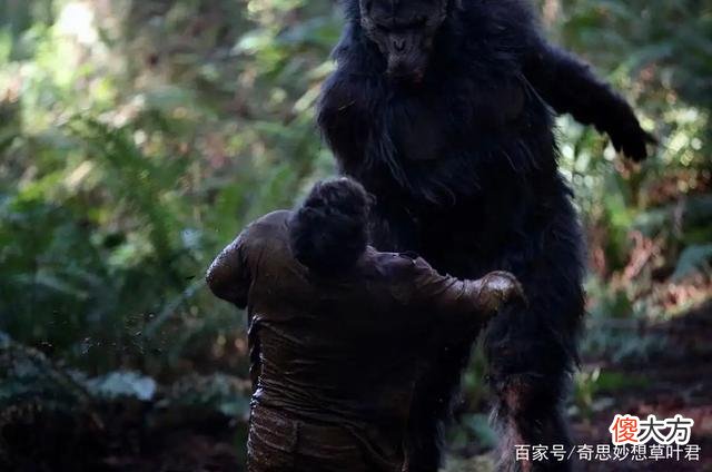 猎人近距离抓拍“大脚怪”？迄今为止，最清晰的野人目击事件！