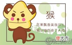 十二个月解析-属猴出生的命运如何？(图文)