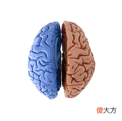 你的孩子是左脑型，还是右脑型？有这3种特征的孩子更聪明