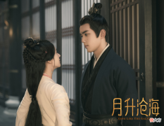 【历史故事】月升沧海：太子妃露出真面目，曲泠君被陷害，程少商、凌不疑破案