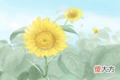 阴阳五行分析-1954年出生的人是什么命？(图文)