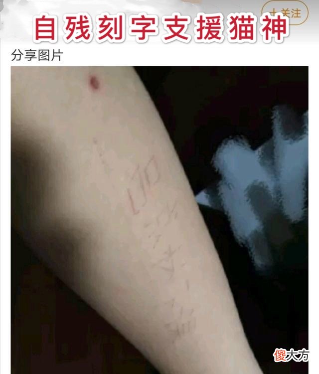 【游戏世界】无脑粉丝自残，一人血书“林教练下台”，猫神原来是被他们害了！
