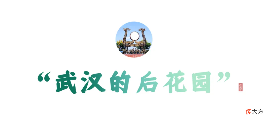 【历史故事】中国唯一“永久宜居城市”,一年劝退200万人