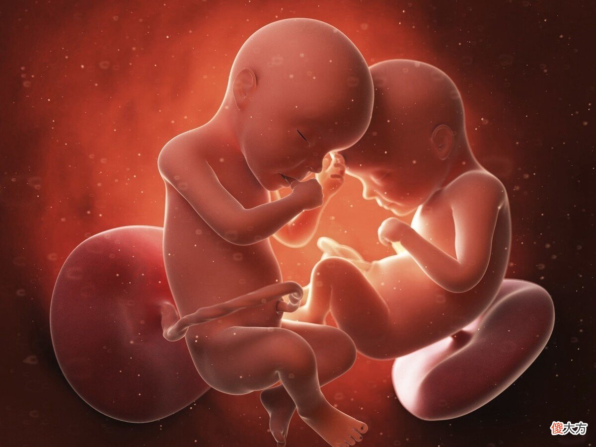 同样是怀孕，为什么有的孕妇肚子大有的却很小？读完文章涨知识