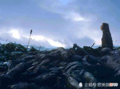 【历史故事】《权力的游戏》中24位主角之死（三）