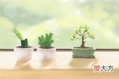 出生日的命运-10月4日生日性格解析(图文)