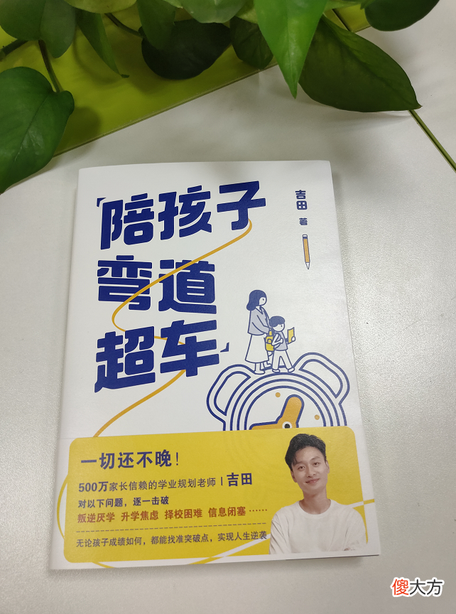 流苏读书：陪孩子弯道超车