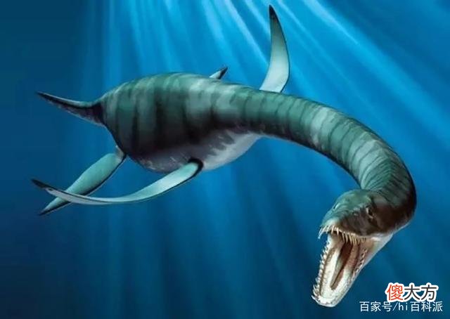 尼斯湖水怪再现身？英国夫妇拍到大型神秘动物，在水下快速游动