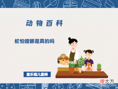 蛇为什么怕螳螂 趣味动物问答：蛇怕螳螂是真的吗?