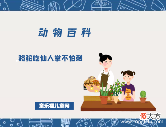 趣味动物问答：骆驼吃仙人掌不怕刺是真的吗?