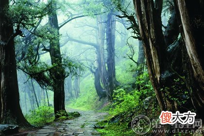 五行缺木怎么取名字好 专家建议(图文)