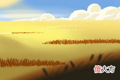 2018年4月29号属狗出生日的命运解析(图文)