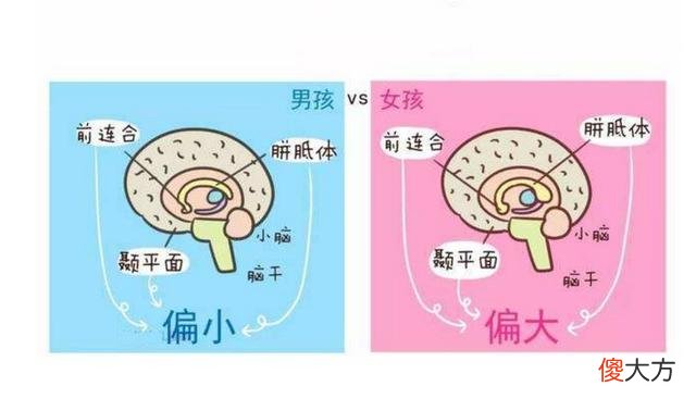 男孩女孩大脑发育各不同：养育男孩的4个原则，父母要早知道