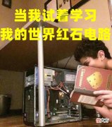 【游戏世界】我的世界：我是好孩子，这末影人到底对羊羊君，干了些什么