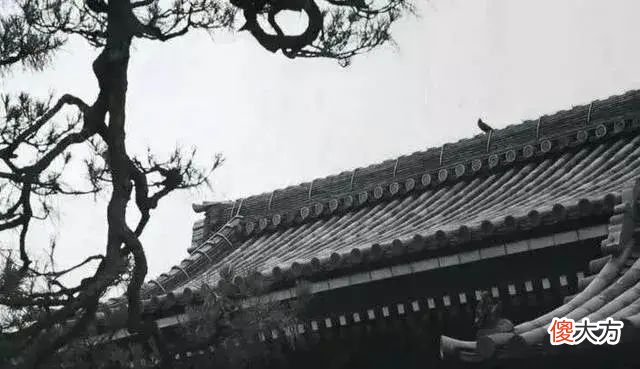 【爱历史】那一年，苏轼死了，苏东坡活了