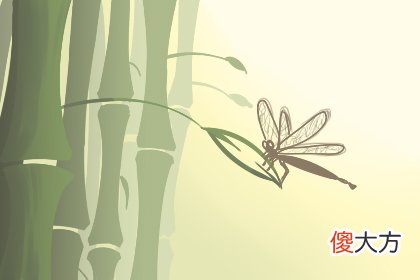 2019年10月22号属猪出生日的命运解析(图文)