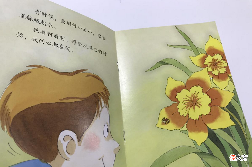 豆瓣评分8.4，这部BBC纪录片，揭示了宝宝社交能力的秘密