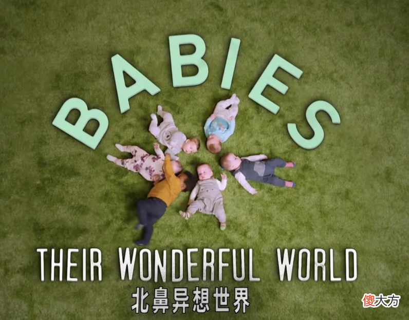 豆瓣评分8.4，这部BBC纪录片，揭示了宝宝社交能力的秘密