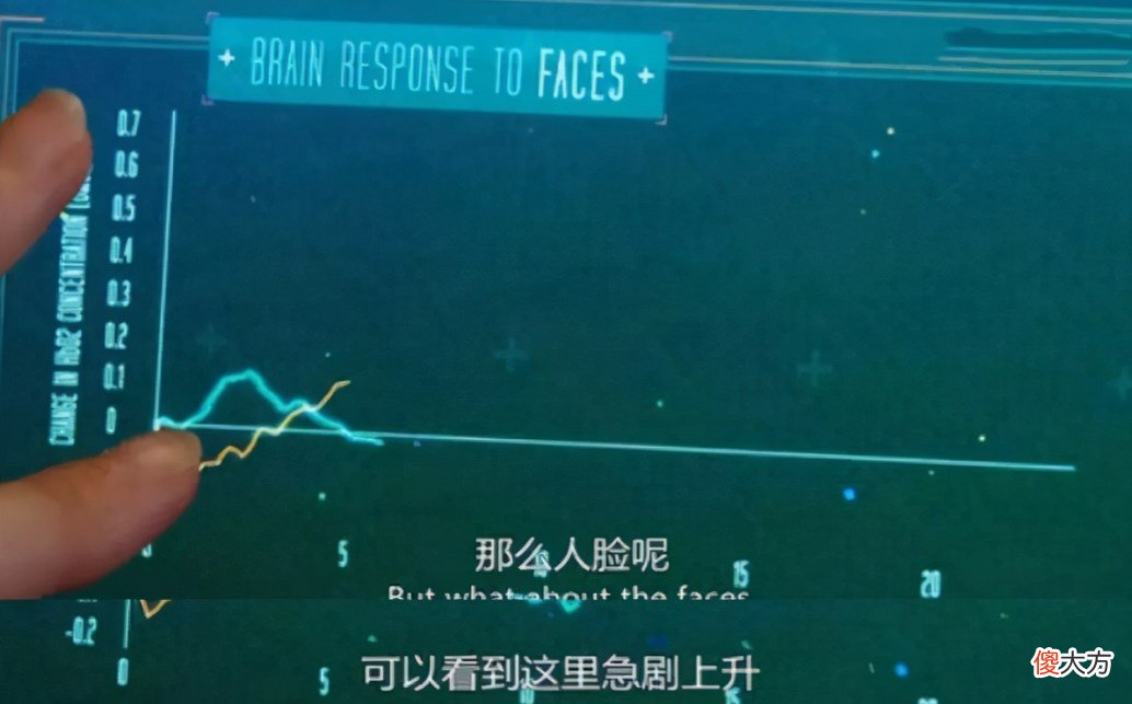 豆瓣评分8.4，这部BBC纪录片，揭示了宝宝社交能力的秘密