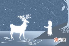 2019年12月8号属猪出生日的命运解析(图文)