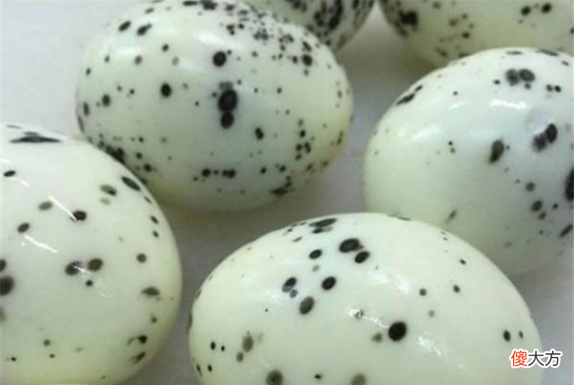宝宝吃鸡蛋险丧命？这3种“毒鸡蛋”别给孩子吃了，家长擦亮眼睛