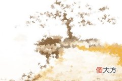 2019年11月13号属猪出生日的命运解析(图文)