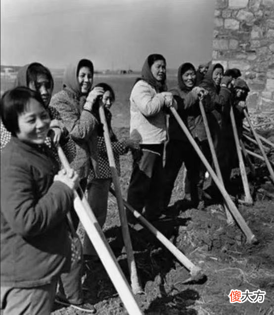 【爱历史】张清安因超生被罚而不满，带领1000人称帝，还封蒋介石为王