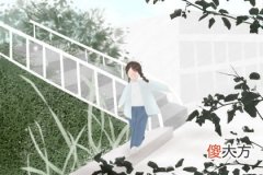 2019年12月9号属猪出生日的命运解析(图文)