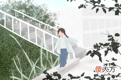 2019年12月9号属猪出生日的命运解析(图文)