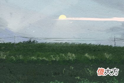 2019年12月31号属猪出生日的命运解析(图文)