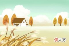 2019年12月30号属猪出生日的命运解析(图文)