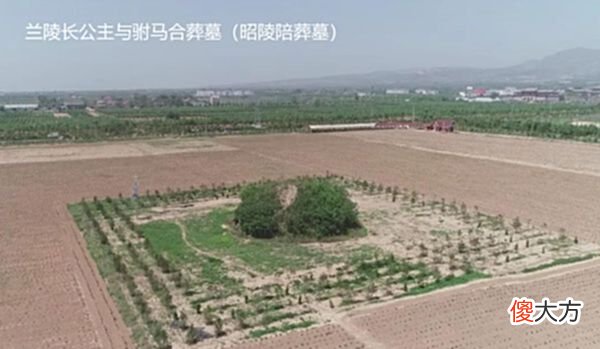 【爱历史】唐代驸马亲书的《兰陵长公主碑》，演绎一段催泪宫廷爱情传奇！