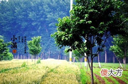 小满前后天气怎么样,2020年小满前一天动土装修好吗？