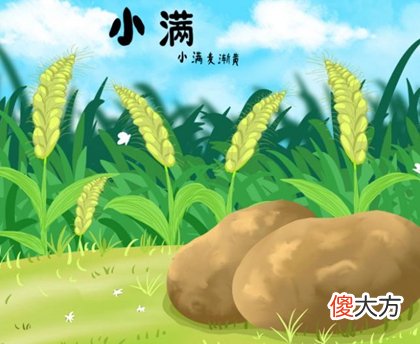 2020小满前后温度有几度,2020年小满前一天装修好不好？