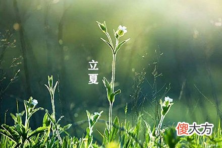 立夏前一个节气是什么？2020年立夏是什么时候？