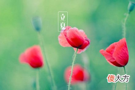 立夏和夏至有什么区别?立夏和夏至是一天吗?