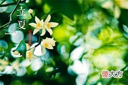 立夏后面的节气是什么？立夏有什么风俗习俗？