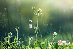 2020年立夏天气热了吗？2020年立夏天气多少度？