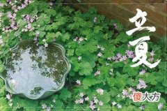 2020年立夏日子适合理发吗？理发有什么注意事项？