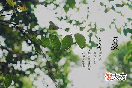 2020年立夏5月5日出生什么星座?星座特点是什么?