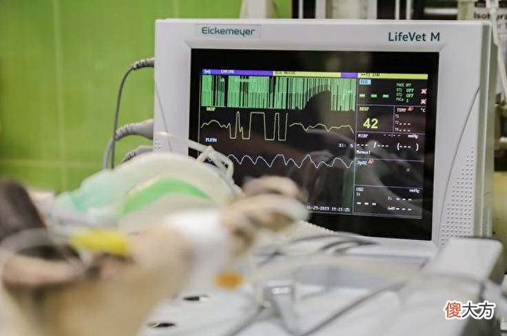 提早感应死亡 德国研发高灵敏度心脏雷达